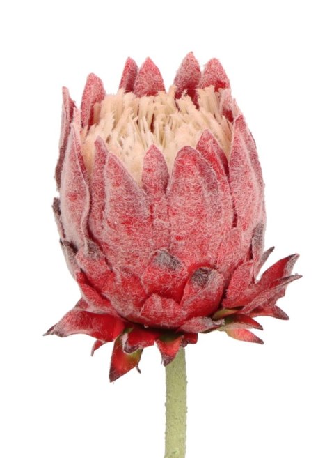 Kwiaty karczoch 65cm Home And Garden (8226) Home And Garden