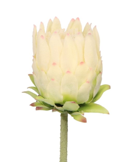 Kwiaty karczoch 65cm Home And Garden (8226) Home And Garden