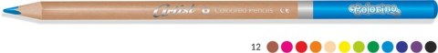 Kredki ołówkowe Artist colorino 12 kol. Patio (83256PTR) Patio