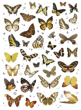 Naklejka (nalepka) Craft-Fun Series Naklejki foliowe 2 plansze Titanum (25YZ005) Titanum