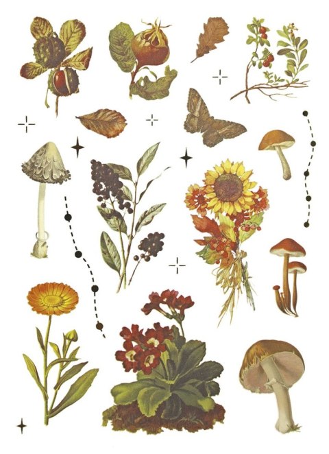 Naklejka (nalepka) Craft-Fun Series Naklejki foliowe 8 plansz Titanum (25YZ009) Titanum