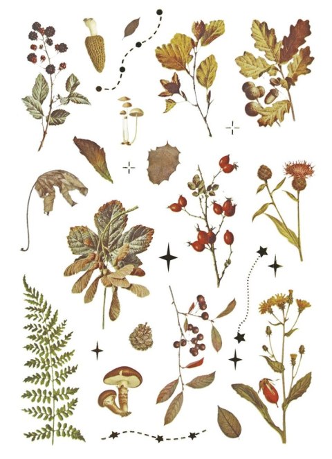 Naklejka (nalepka) Craft-Fun Series Naklejki foliowe 8 plansz Titanum (25YZ009) Titanum