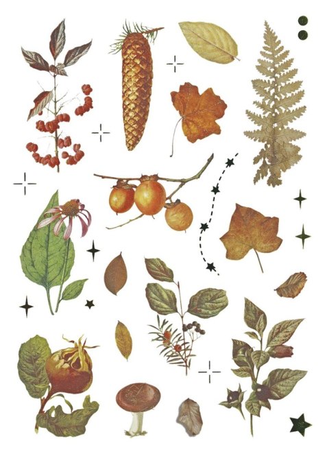 Naklejka (nalepka) Craft-Fun Series Naklejki foliowe 8 plansz Titanum (25YZ009) Titanum