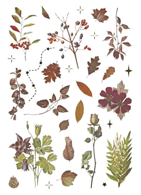 Naklejka (nalepka) Craft-Fun Series Naklejki foliowe 8 plansz Titanum (25YZ009) Titanum