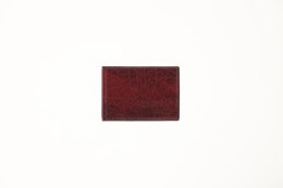 Okładka na dokumenty eko na dokumenty ucznia Okładka na dokumenty ucznia z ekoskóry (nowe) Folprim Folprim