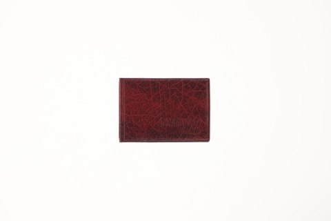 Okładka na dokumenty eko na dokumenty ucznia Okładka na dokumenty ucznia z ekoskóry (nowe) Folprim Folprim