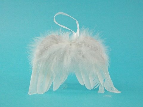 Ozdoba świąteczna skrzydełka anioła, zawieszka, 16x12cm Adar (444034) Adar