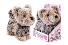 Pluszak interaktywny piesek chodzący na smyczy Artyk (175992) Artyk