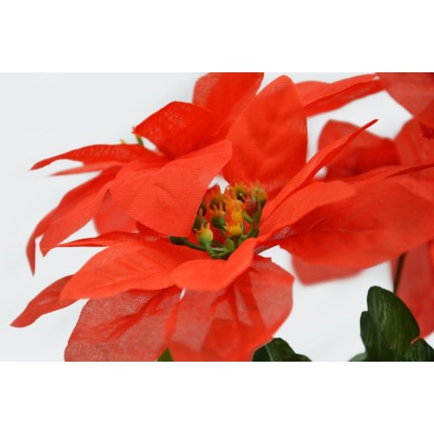 Gwiazda GWIAZDA BETLEJEMSKA Arpex (VZ9361) Arpex