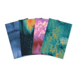 Kalendarz książkowy (terminarz) WTV HARMONY 100mm x 150mm Oxford (400204135) Oxford