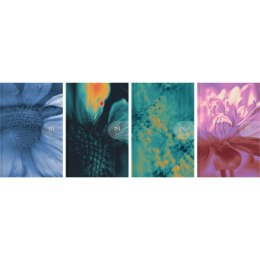 Kalendarz książkowy (terminarz) WTV HARMONY 100mm x 150mm Oxford (400204135) Oxford