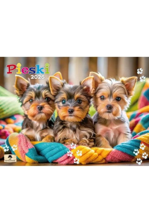 Kalendarz ścienny ALBUMOWY PIESKI 320mm x 470mm Pan Kalendarzyk (KSA V.1) Pan Kalendarzyk