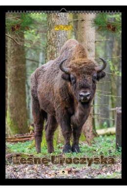 Kalendarz ścienny LEŚNE UROCZYSKA A2 Pan Kalendarzyk (A2 V.5) Pan Kalendarzyk