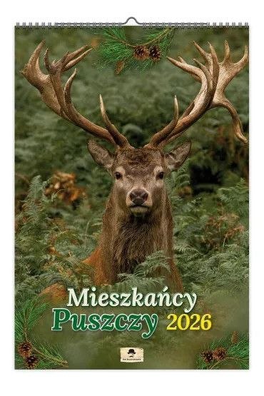 Kalendarz ścienny Mieszkańcy PUSZCZY 320mm x 470mm Pan Kalendarzyk (A3 VD.11) Pan Kalendarzyk
