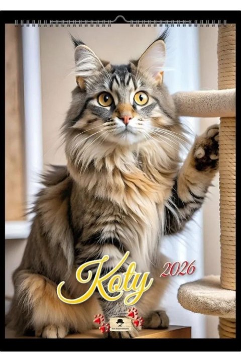 Kalendarz ścienny NA SPIRALI KOTY A4 Pan Kalendarzyk (KS A4 V.3) Pan Kalendarzyk