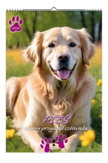 Kalendarz ścienny Pies wierny przyjaciel człowieka 320mm x 470mm Pan Kalendarzyk (A3 VD.12) Pan Kalendarzyk