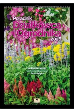 Kalendarz ścienny Poradnik działkowca i ogrodnika 320mm x 470mm Pan Kalendarzyk (A3 VD.16) Pan Kalendarzyk