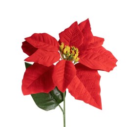 Kwiaty Poinsencja LUX Arpex (VB0230) Arpex