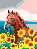 Zestaw kreatywny Malowanie po numerach 30x40cm Koń w słonecznikach Flamingo Line (FSY459) Flamingo Line