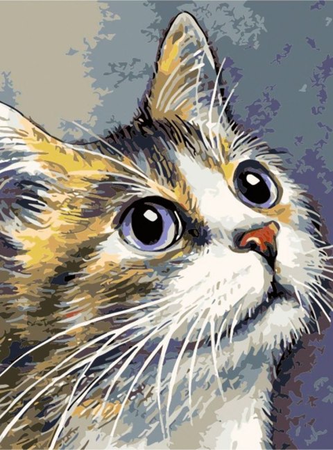 Zestaw kreatywny Malowanie po numerach 30x40cm Kot Flamingo Line (FC220) Flamingo Line