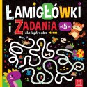Książka dla dzieci Łamigłówki i zadania dla bystrzaka . Aksjomat Aksjomat