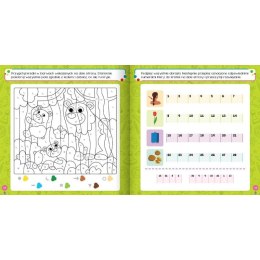 Książka dla dzieci Łamigłówki i zadania dla bystrzaka . Aksjomat Aksjomat