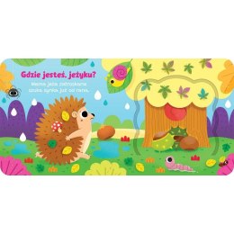 Książka dla dzieci Otwórz okienko! Gdzie jesteś, jeżyku? Aksjomat Aksjomat