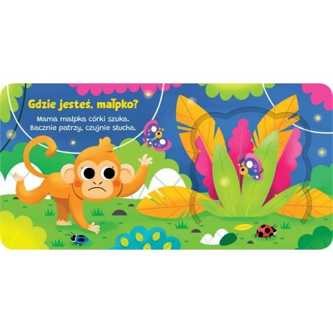 Książka dla dzieci Otwórz okienko! Gdzie jesteś, małpko ? Aksjomat Aksjomat