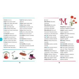 Książka dla dzieci Słownik ortograficzny Aksjomat Aksjomat