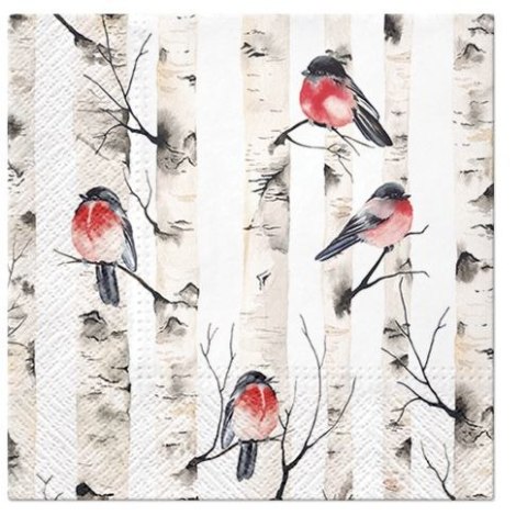 Serwetki Lunch BN Birch Trees miks bibuła [mm:] 330x330 Paw (SDL230100) Paw