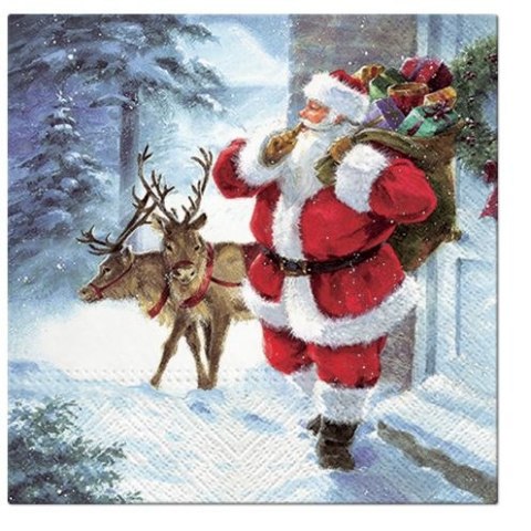 Serwetki Lunch BN bibuła [mm:] 330 Paw (SDL013300) Paw