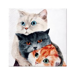 Serwetki Lunch Better Together mix nadruk bibuła [mm:] 330x330 Paw (SDL131500) Paw