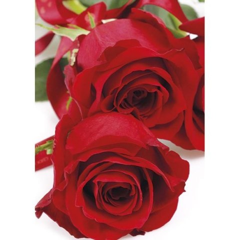 Bileciki do upominków, prezentów, kwiatów Pol-Mak 55 x 77 mm mix wzorów Pol-mak