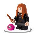 Książka dla dzieci LEGO® Harry Potter™. Towarzysze zabaw Ameet (LNC 6424) Ameet