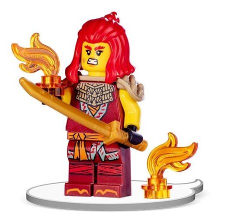 Książka dla dzieci LEGO® NINJAGO®. Ogień i Żar Ameet (LNC 6749) Ameet