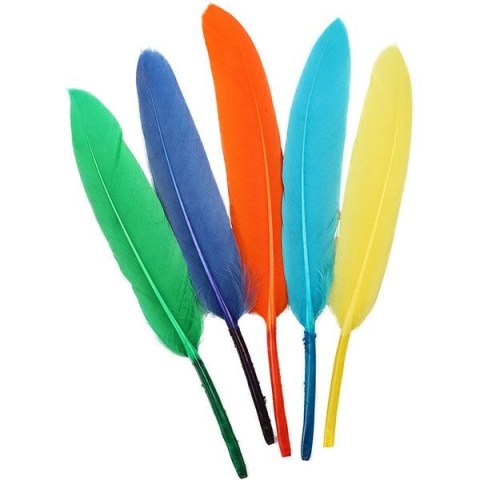 Piórka Craft-Fun Series mix 60 szt Titanum (16079L) Titanum