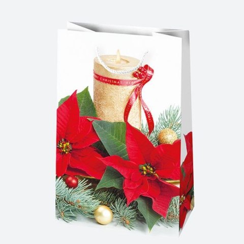 Torba prezentowa [mm:] 100x160x 60 Pol-mak Pol-mak