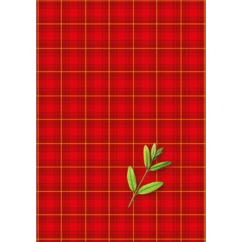 Brulion A6 60k. krata Kreska Kreska