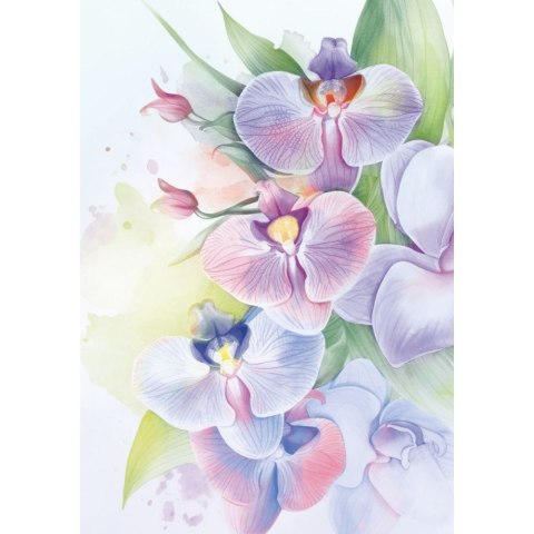 Brulion A6 60k. krata Kreska Kreska