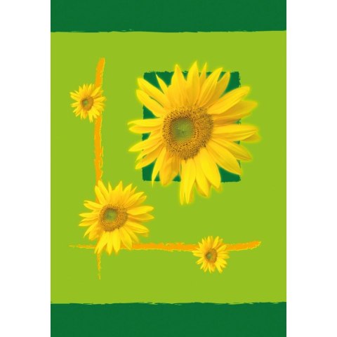 Brulion A7 64k. krata [mm:] 105x75 Kreska Kreska