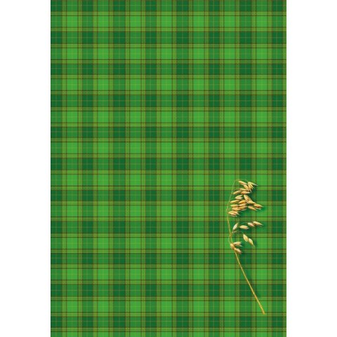 Brulion B5 200k. krata Kreska Kreska