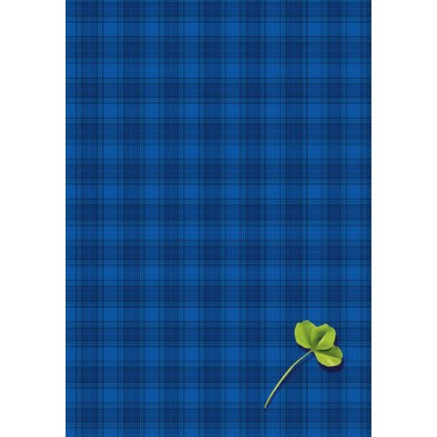 Brulion B5 200k. krata Kreska Kreska