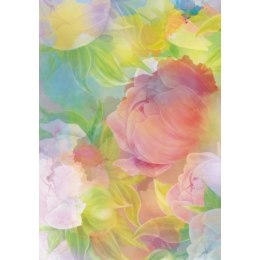 Brulion twarda oprawa B5 300k. krata Kreska Kreska