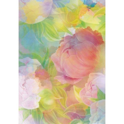 Brulion twarda oprawa B5 300k. krata Kreska Kreska