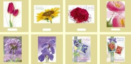 Kartka składana specjal B6 Pan Dragon (B6) Pan Dragon