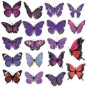 Naklejka (nalepka) Craft-Fun Sereis Motyle foliowe Titanum (25MD011) Titanum