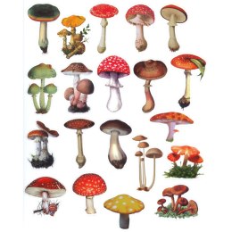 Naklejka (nalepka) Craft-Fun Series Grzyby foliowe Titanum (25MD010) Titanum