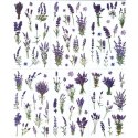 Naklejka (nalepka) Craft-Fun Series Lawenda foliowe Titanum (25MD003) Titanum