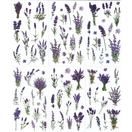 Naklejka (nalepka) Craft-Fun Series Lawenda foliowe Titanum (25MD003) Titanum