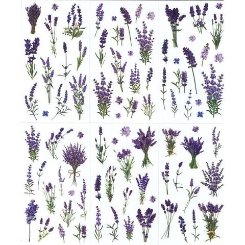 Naklejka (nalepka) Craft-Fun Series Lawenda foliowe Titanum (25MD003) Titanum